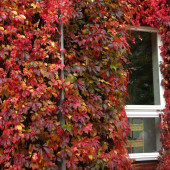 2011-10-06-16.41.31 (1024x768).jpg