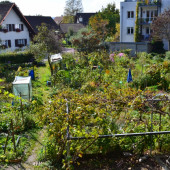 DSC_1176 (1024x632).jpg